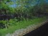 DSC00146 r.JPG