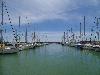 DSC00170 r.JPG
