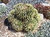 DSC00180 r.JPG