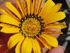 DSC00182 r.JPG