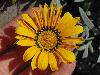 DSC00183 r.JPG