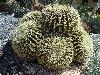 DSC00186 r.JPG