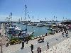 DSC00193 r.JPG