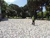 DSC00211.JPG