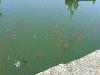 DSC00216.JPG