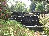 DSC00222.JPG