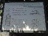 DSC00242.JPG