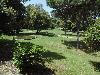 DSC00251.JPG