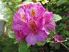 DSC00252.JPG