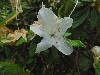 DSC00253.JPG