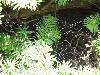 DSC00256.JPG