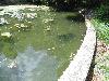 DSC00259.JPG