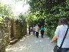 DSC00263.JPG