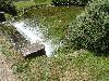 DSC00266.JPG