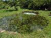 DSC00267.JPG