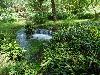 DSC00269.JPG