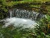 DSC00270.JPG
