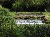 DSC00271.JPG