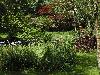 DSC00272.JPG