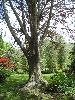 DSC00277.JPG