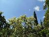 DSC00278.JPG
