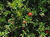 DSC00280.JPG
