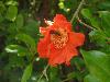 DSC00281.JPG