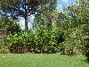 DSC00290.JPG