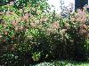 DSC00291.JPG