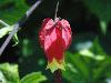 DSC00293.JPG