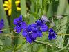 DSC00294.JPG