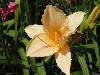 DSC00296.JPG