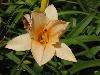 DSC00297.JPG
