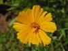 DSC00298.JPG