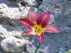 DSC00304.JPG