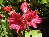 DSC00305.JPG
