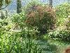 DSC00306.JPG