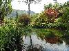 DSC00307.JPG