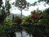 DSC00309.JPG