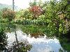 DSC00310.JPG