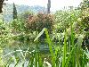 DSC00311.JPG