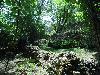DSC00312.JPG