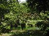 DSC00313.JPG