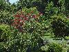 DSC00315.JPG
