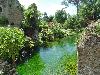DSC00316.JPG