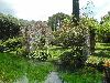 DSC00317.JPG