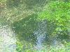 DSC00319.JPG