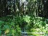 DSC00326.JPG