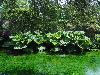 DSC00327.JPG