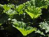 DSC00328.JPG